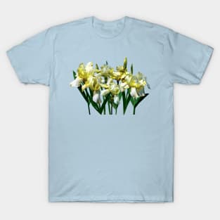 Yellow Irises Flavescens T-Shirt